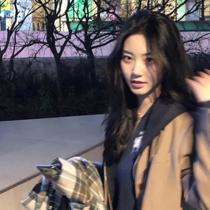 单身男女国语